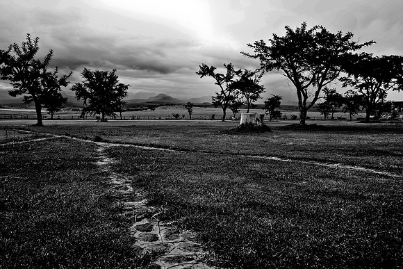 DSC09415-2