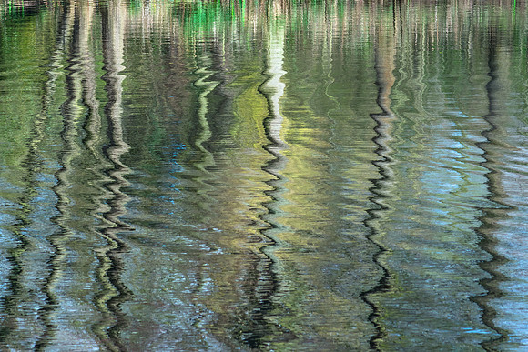 DSC09556
