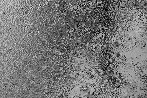 DSC08700