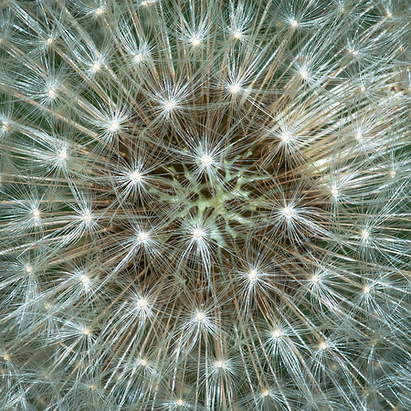 DSC05899