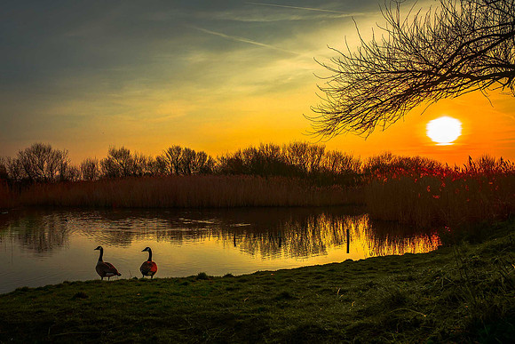 DSC01292-Edit