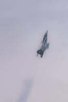 DSC03351