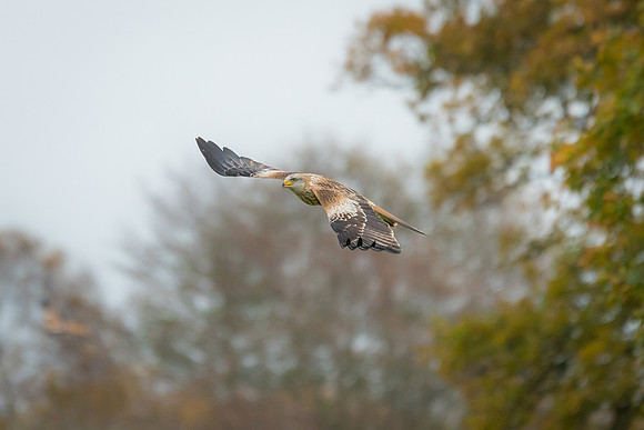 DSC01922