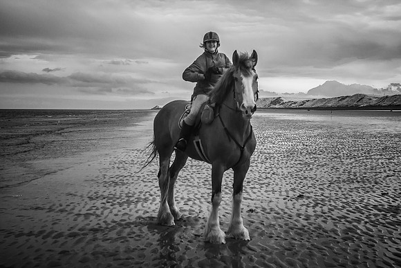 _DSC4003