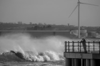 DSC09603
