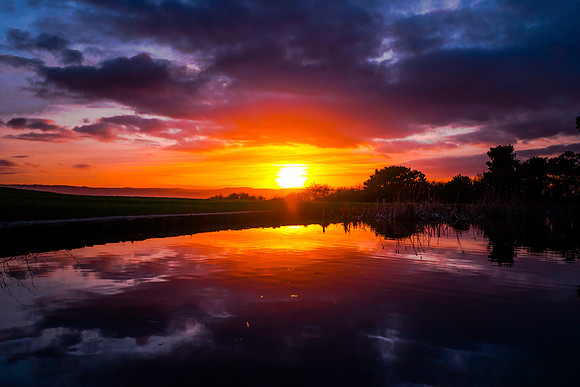 DSC00102-Edit