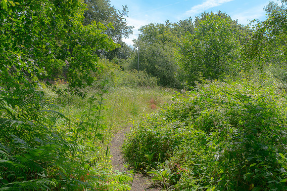 DSC04830