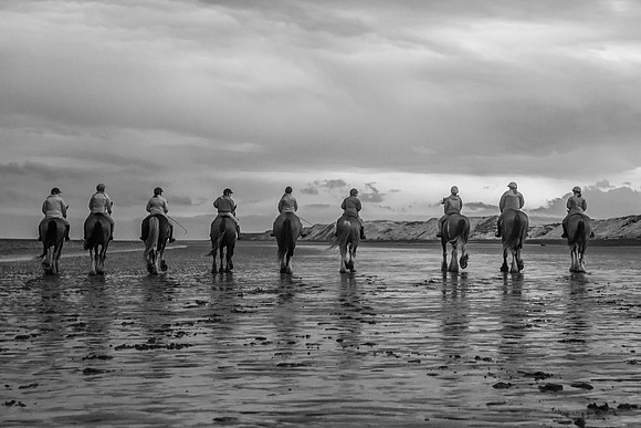 _DSC4017