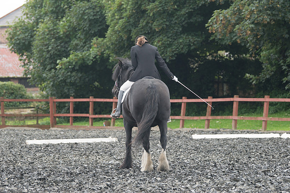 DSC09021