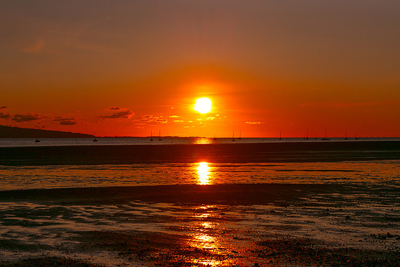 DSC06678
