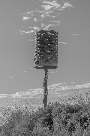 DSC04566
