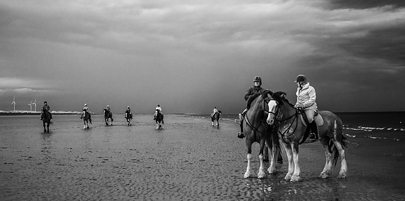 _DSC4008