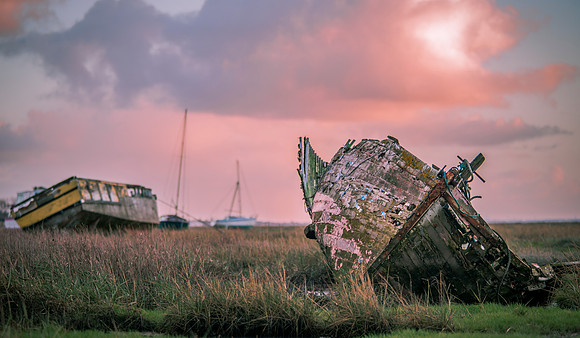 Sheldrake5