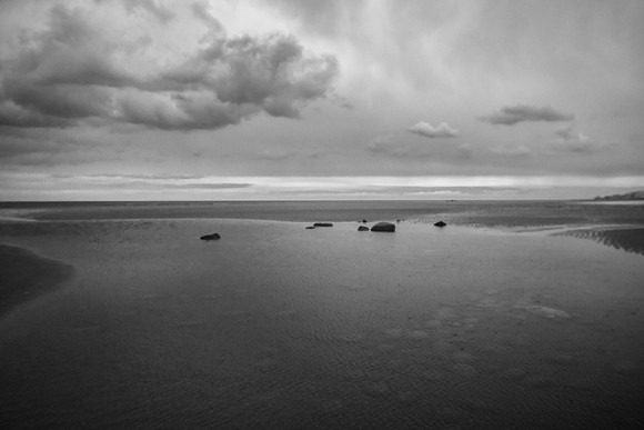 _DSC3962