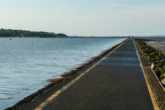DSC04765