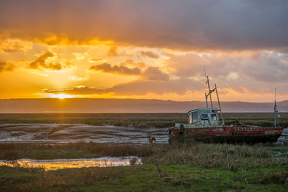 Sheldrake6