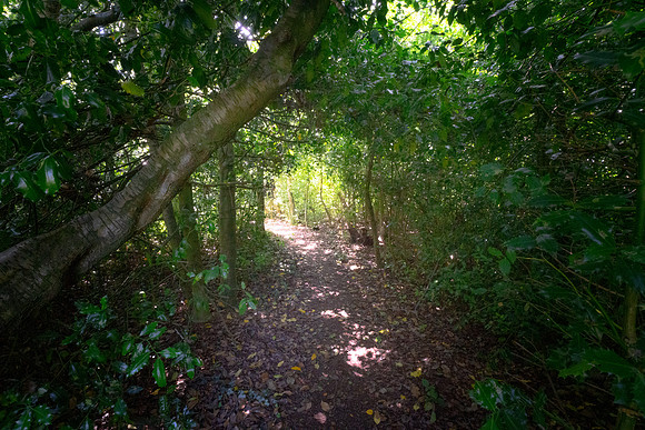 DSC04827