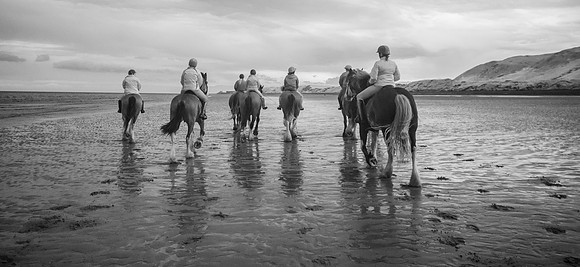_DSC4011